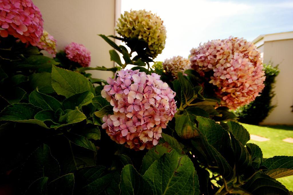 Melville Manor Guest House โจฮันเนสเบิร์ก ภายนอก รูปภาพ