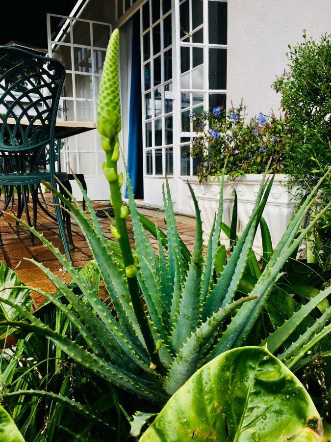Melville Manor Guest House โจฮันเนสเบิร์ก ภายนอก รูปภาพ